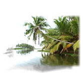 Kerala image